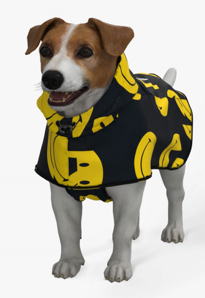 RainKiss Dog Poncho